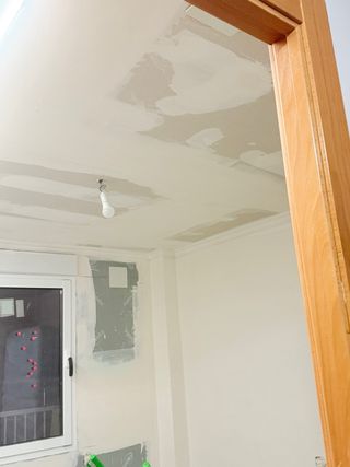 Servicios de pintura profesional