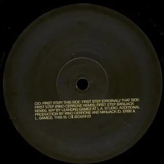 LOTE TECHNO  10 VINILOS