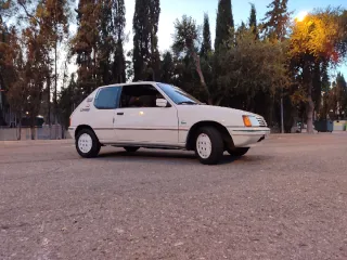 Peugeot 205 Lacoste 1.4 1987