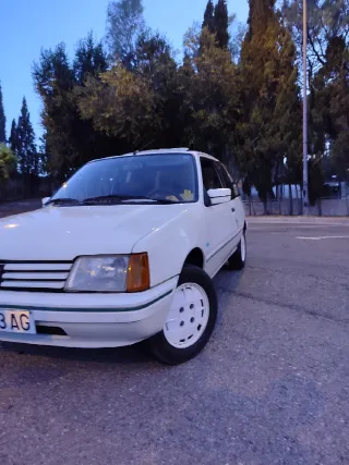 Peugeot 205 Lacoste 1.4 1987