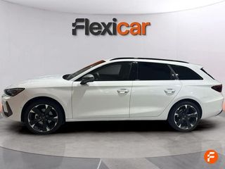 Cupra León SP 1.5 eTSI 110kW (150CV) DSG