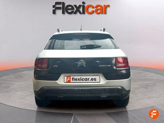 Citroën C4 Cactus BlueHDi 100 Aordream Business