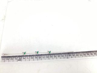 pulsera plata 925mm con piedra con circonita