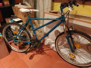 Bicicleta