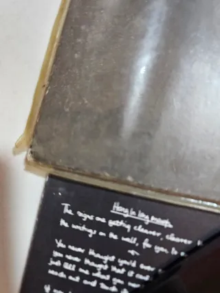 Phil Collins But Seriously Vinilo LP