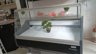 Vitrina expositora refrigerada Coreco
