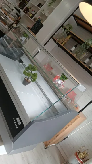 Vitrina expositora refrigerada Coreco