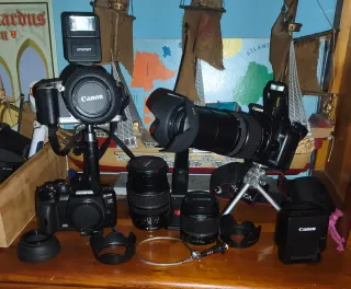 Lote Cámaras Canon EOS + 4 Objetivos