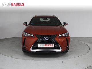 Lexus UX 2.0 250h Business