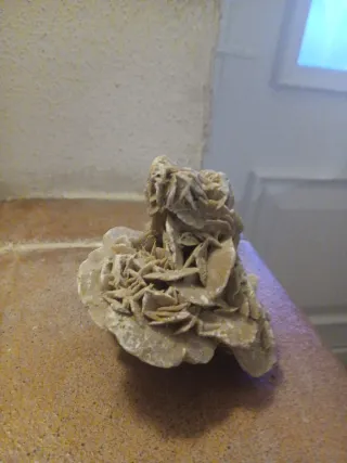 Rosa del Desierto Cristallo