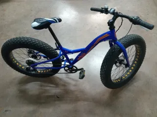 Bici Fat Bike