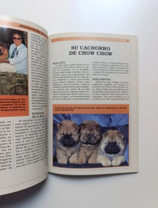 Perros de raza. Pastor alemán y Chow Chow.