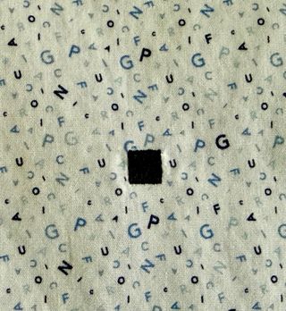 Camisa PG Purificación Garcia blanca estampada