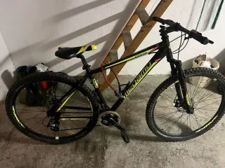 Bicicleta Megamo Negra y Amarilla