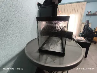 Acuario de cristal