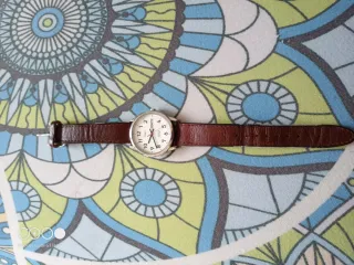 Orologio TIMEX INDIGLO T20041 Uomo Marrone Argento