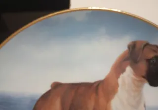 PLATO PORCELANA COLLECIONABLE MARCA DANBURY MINT