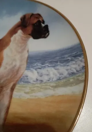 PLATO PORCELANA COLLECIONABLE MARCA DANBURY MINT