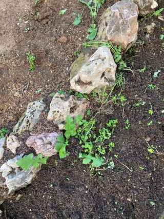 Rocalla decorativa para jardín