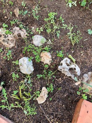 Rocalla decorativa para jardín