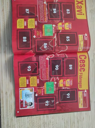 Álbum Panini Selección Española 2009 a por ellos