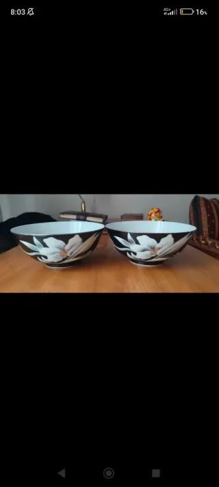 Coppia Ciotole Giapponesi Artigianali