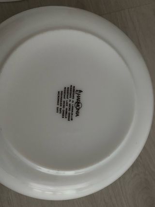 Plato Arcopal grande con flores y fuente Harmonía