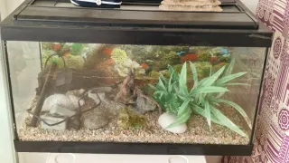 Acuario negro con decoración