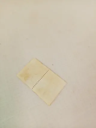 2 Francobolli Repubblica Sociale Italiana