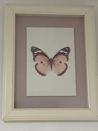 Cuadro decorativo mariposa rosa