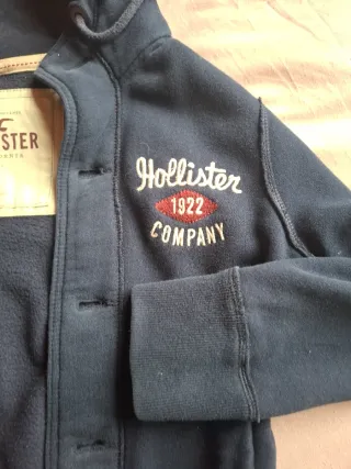 Felpa Hollister