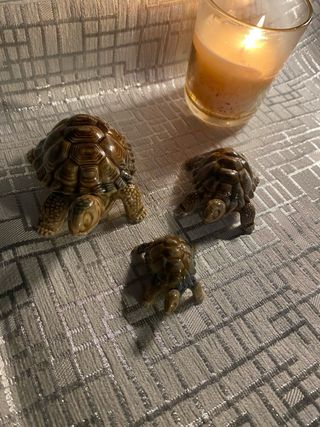 Lote 3 Cajitas Decorativas Tortugas