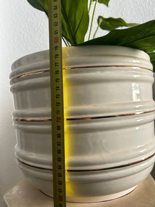 Maceta de cerámica decorativa