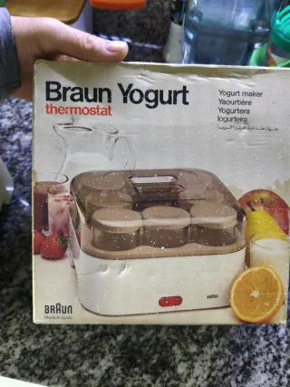 Yogurtera Braun Thermostat