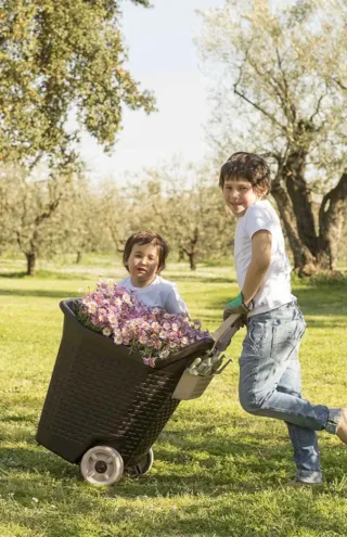 Carro de jardinería verde con ruedas
