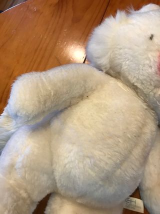 Sonia, pareja inseparable del gato Isidoro.