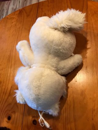 Sonia, pareja inseparable del gato Isidoro.