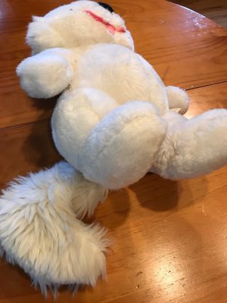 Sonia, pareja inseparable del gato Isidoro.