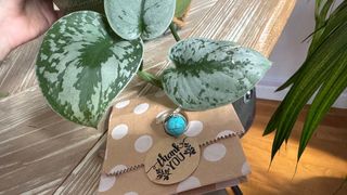 Anillo ajustable piedra estilo turquesa