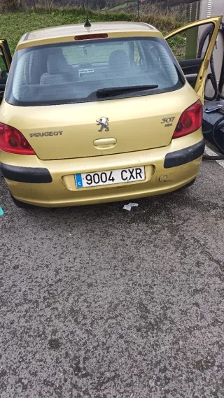Peugeot 307 2004