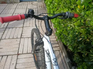 Bicicleta infantil 24 pulgadas