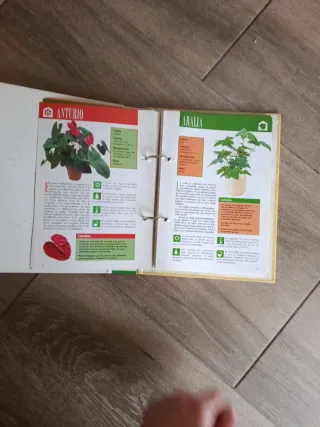 Libro plantas
