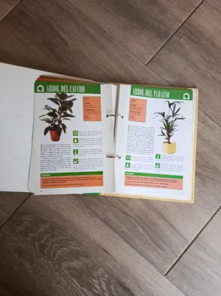 Libro plantas