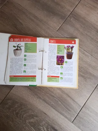 Libro plantas