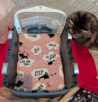 Manta suave para gato/transportín - Nueva