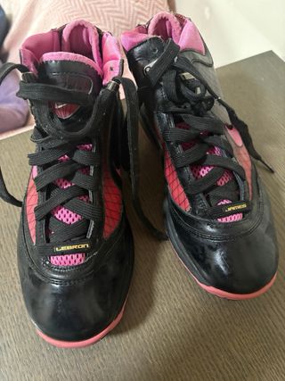 Zapatillas Nike LeBron 38.5 precio negociable