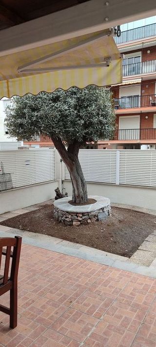 Casa adosada en alquiler en Els Terrers en Benicasim/Benicàssim