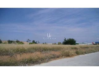 Terreno en venta en Carcaixent