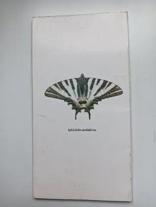 Guía ecológica de la Alfaguara. Javier Navarro Góm