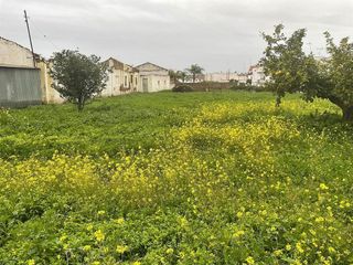 Terreno en venta en Trigueros